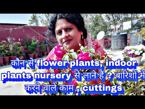 कौन से flower plants, indoor plants nursery से लाने हैं ? बारिशों में करने वाले काम , cuttings