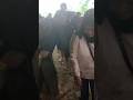 Ibu Kerudung Hitam Kena Cocol Kuda Lumping !! Benjang Mekar Budaya