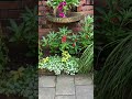 三色のホウセンカの花壇#garden #gardening #庭作業 #flowers #ガーデン #植物#nature