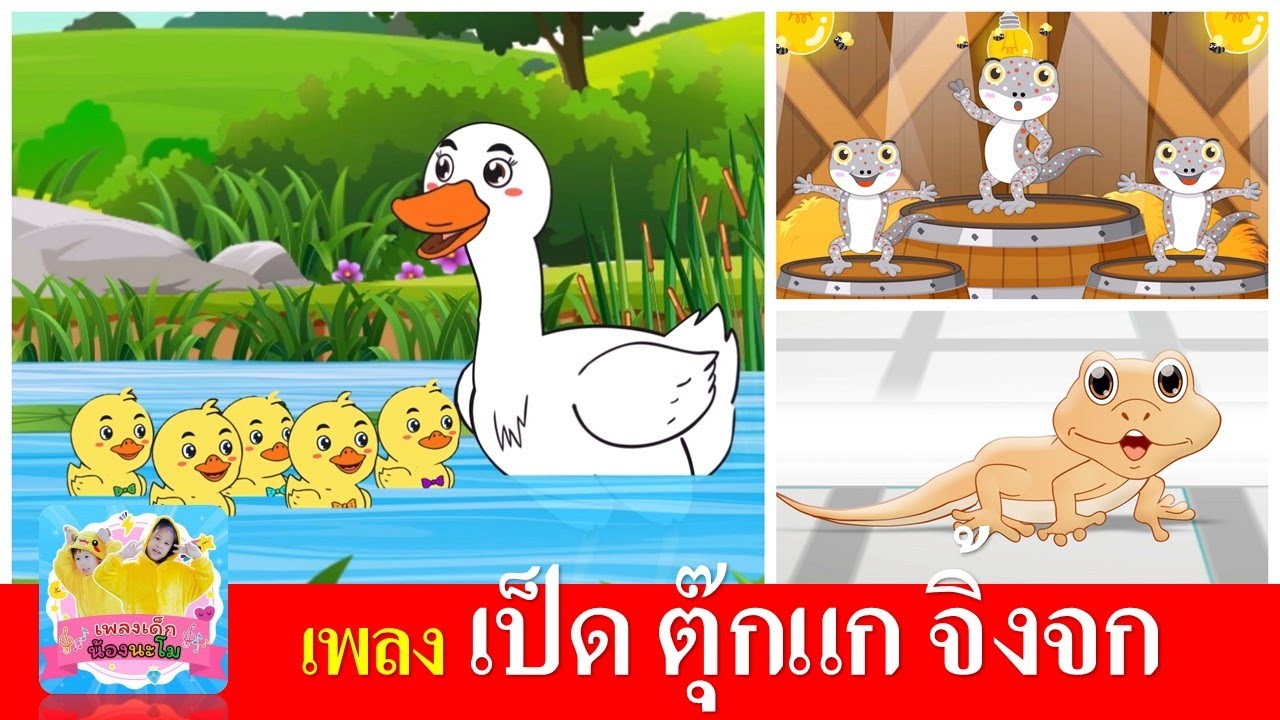 เพลงเด็ก เป็ด ตุ๊กแก จิ้งจก | เป็ดก้าบก้าบ | ตุ๊กแก | จิ้งจก | เรียนรู้เรื่องสัตว์ ไปกับเพลงเด็ก