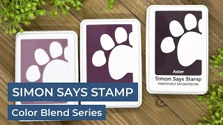 Simon Says Stamp Pawsitively Saturated Ink Color Blend Series by Jessica Vasher Designs 247 views 2 months ago 10 minutes, 5 seconds