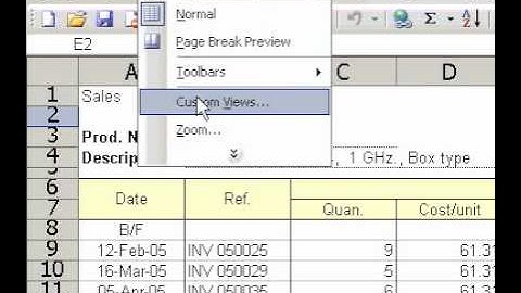 Microsoft Office Excel 2003 Delete a custom view