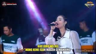 FULL Album TERBARU ADELLA 2021 Bersama DHEHAN AUDIO MP PRODUCTION