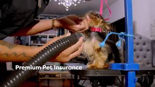 Groomit App - In-Home & Mobile Pet Grooming On Demand