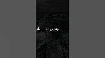 سورة:طه 🌹 القارئ فارس عباد 🎧🖤
