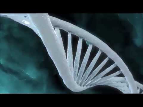 DNA Strands with Trapcode Tao & After Effects Tutorial Preview