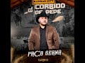 PACO SERNA-EL CORRIDO DE PEPE