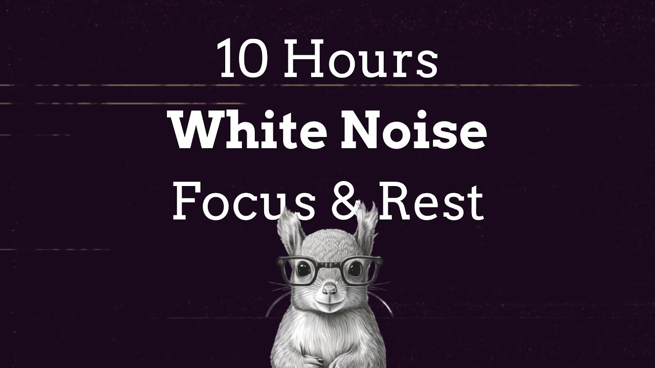 White Noise for ADHD Wise Squirrels focused on working and resting for ...