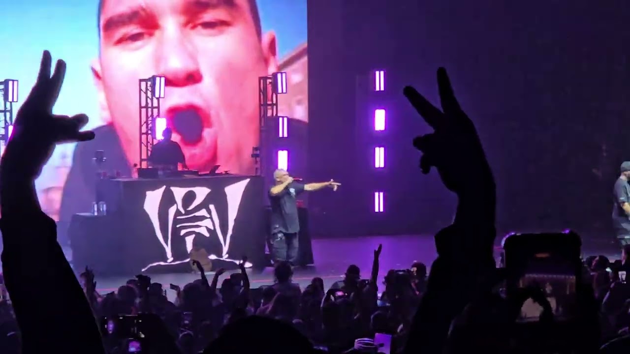 VIOLADORES DEL VERSO - MAXIMO EXPONENTE - GDL 2025