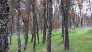 Man vs. Wild PARACHUTE ACCIDENT!