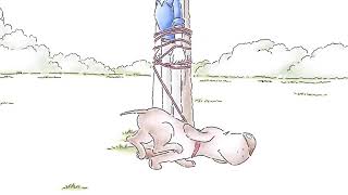 🌴 IEM Rio 2026 ☀️ Puolivälierät ☀️🎙️ oonraimo &amp; sLowi 🌴