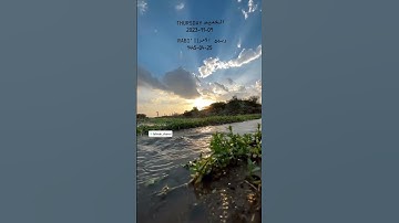 #quran #2023 #القرآن_الكريم #القارئ #surat #سورة_الزمر #ماهر_المعيقلي
