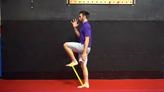 Standing Resisted Hip Flexion exercise demonstration by Dr. Brian Fischer