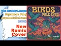 The Muddy Lamps (Like The Doors) - Birds Pale Eyes - Japan Prog Psychedelic (1987) New remix cover