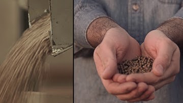 Jefo - Vídeo Español