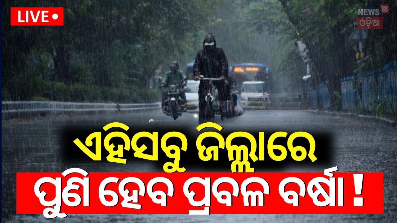 Odisha Rain News Live: ପୁଣି ପ୍ରବଳ ବର୍ଷା ! Low Pressure Area Forms Over Bay of Bengal |Weather Update