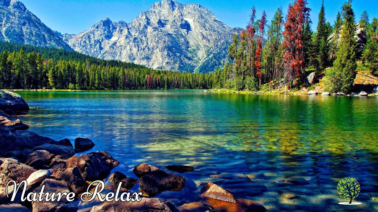 Great relaxing music🍁Nature melodies help reduce stress, heal the soul, stop overthinking & Healing