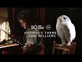 Bbc symphony orchestra 360 experience hedwigs theme john williams