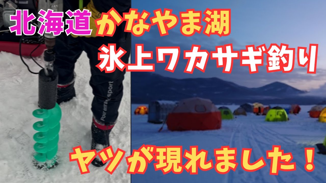 氷上ワカサギ釣り]北海道、富良野カナヤマ湖でワカサギ釣り 今話題の