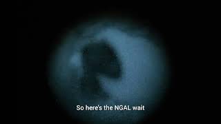 Invisiblesight NGAL VS. MAWL C1+ VS. LA5 PEQ 15