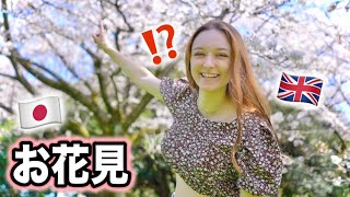 Spring Has Sprung In Tokyo, Japan! Japanese Favourite Pastime? Sakura Hanami Picnic Date! VLOG by ちゅーそんちゃんねるChuson Channel 34,115 views 1 month ago 10 minutes, 19 seconds