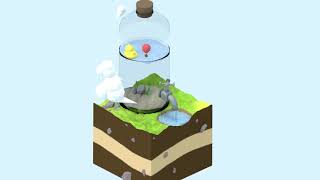 302CDE BottleDuck