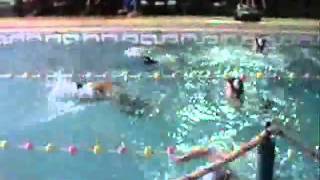 Neptuno-escuela de natacion.