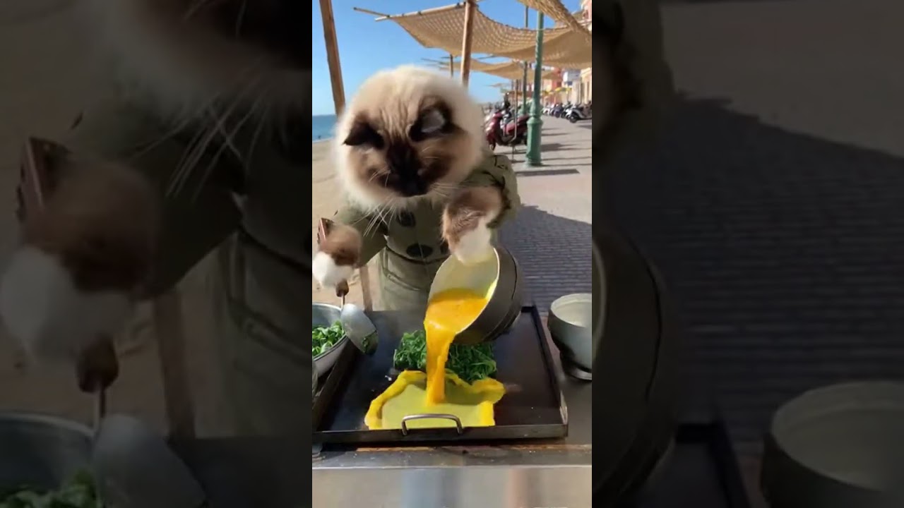Street Food: A Ragdoll Cat selling Quiche aux Epinards at Fishing Net Corner