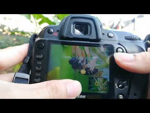 Video Cách cài đặt picture control trên máy ảnh nikon d90 để... - youtube