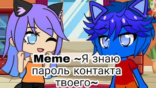 Meme ~Я знаю пароль контакта твоего~ / Кошка Лана и Кот Леонард [ Лана×Лео можно сказать шип ]