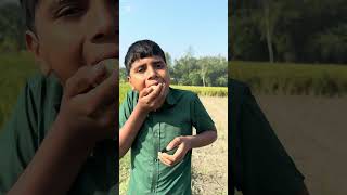 The End Result Of Eating Chicken Eggs