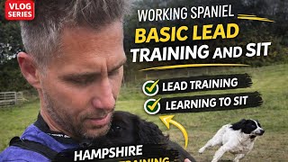 Basic puppy leash, lead training