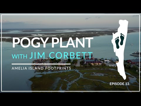 Pogy Plant with Jim Corbett | Amelia Island Footprints Episode 13 [Remastered]