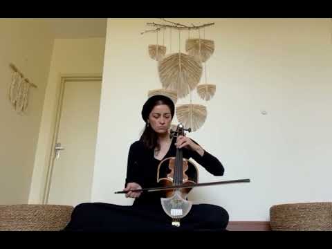 قیچک شیماشاه محمدی