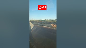 تلاوة خاشعة ومؤثرة للشيخ ماهر المعيقلي #القارئ #sunset #المصحف #دويتو
