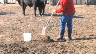 Part 3: Sampling Open Lot Manure
