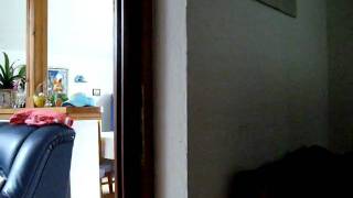spring song.avi
