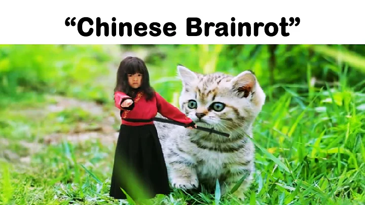 Chinese Brainrot