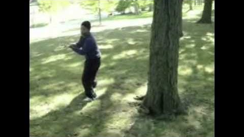 "JIANG RONG QIAO BAGUA 8 PALMS"