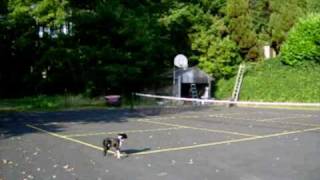 Scratchbuild Nutball RC plane