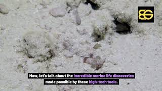 Famous Unveiling the Secrets of the Deep Sea: High-Tech Exploration Revealed Profile