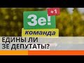 Едины ли депутаты Слуги народа на самом деле?