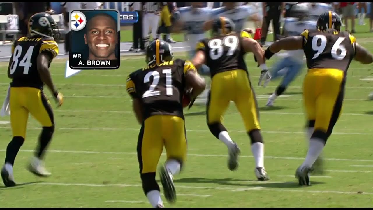 Pittsburgh Steelers: 2010 NFL Season Highlights