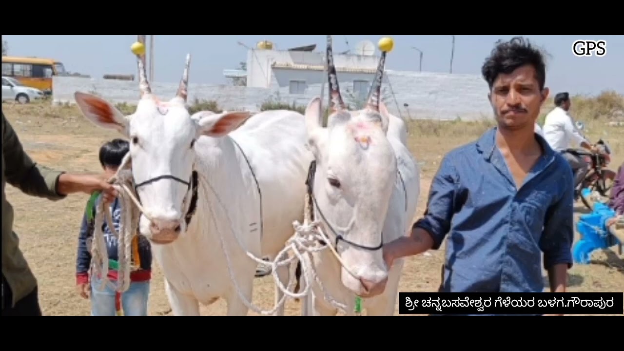 Antharagatte jatre 2022 from Gowrapura.