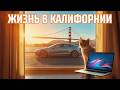 Жизнь в Калифорнии утром: Tesla, кот/окна, Bay Bridge и налог на миллиардеров
