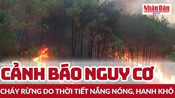 Cảnh báo nguy cơ cháy rừng do thời tiết nắng nóng, hanh khô | Báo Nhân Dân