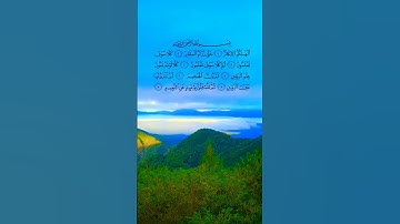 سورة التكاثر #القران_الكريم #سورة_التكاثر #ماهر_المعيقلي #القرآن_الكريم #اكسبلور