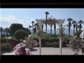 DIY Wedding Preparation : How to Decorate Wedding Arches DIY Wedding Preparation : How to Decorate Wedding Arches