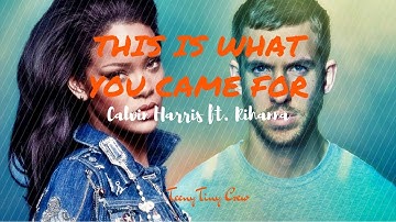 Thumbnail of Calvin Harris ft. Rihanna - This Is What You Came For (Instrumental/ Karaoke)