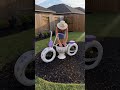 Upcycling Tires into a Lavender Dream 💜 The Cutest DIY Garden Tricycle! 🚲🌸 #gardening  #diy